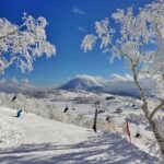 Niseko; Nieves de algodón