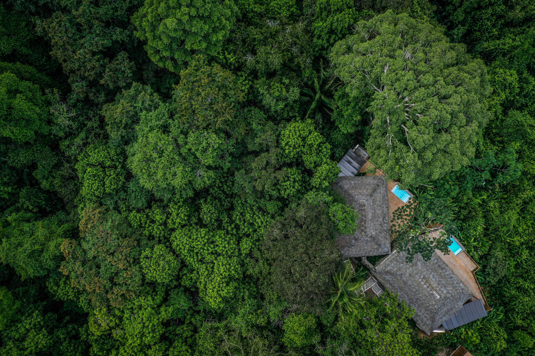 Costa Rica, el paraíso vivo del ecoturismo y la sostenibilidad