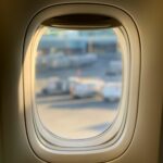 ¿Cómo viajar con tu mascota?