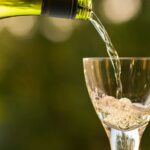 5 destinos imperdibles para los amantes del vino