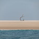 Benguerra : El secreto del Índico africano 
