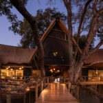Tubu Tree Camp: la elegancia renovada del Okavango