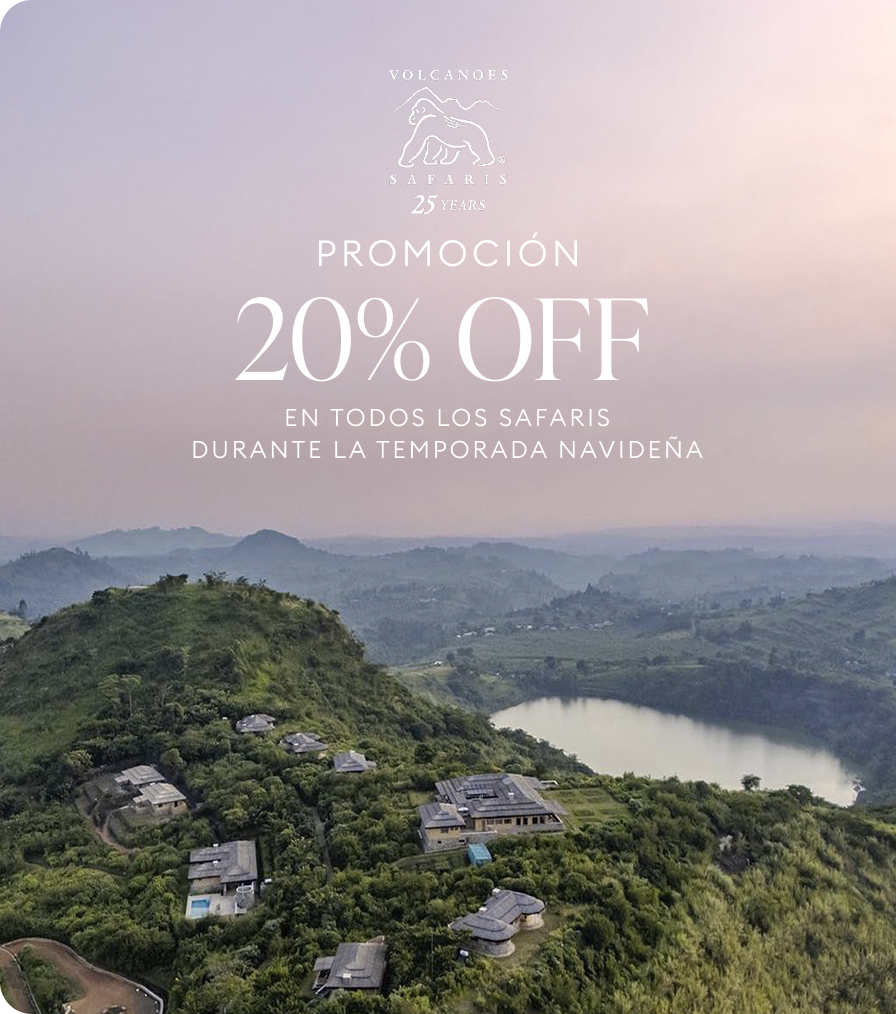 ¡Reserva ahora y recibe  un 20% off!